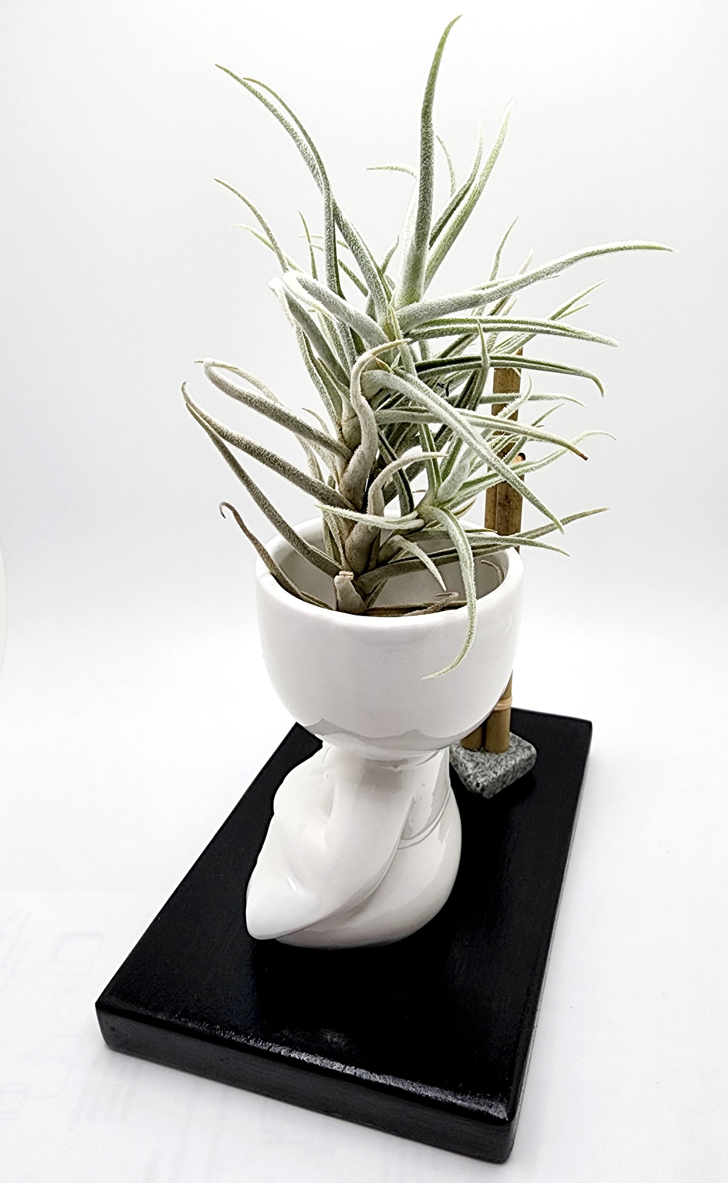 Ceramic Samurai Design