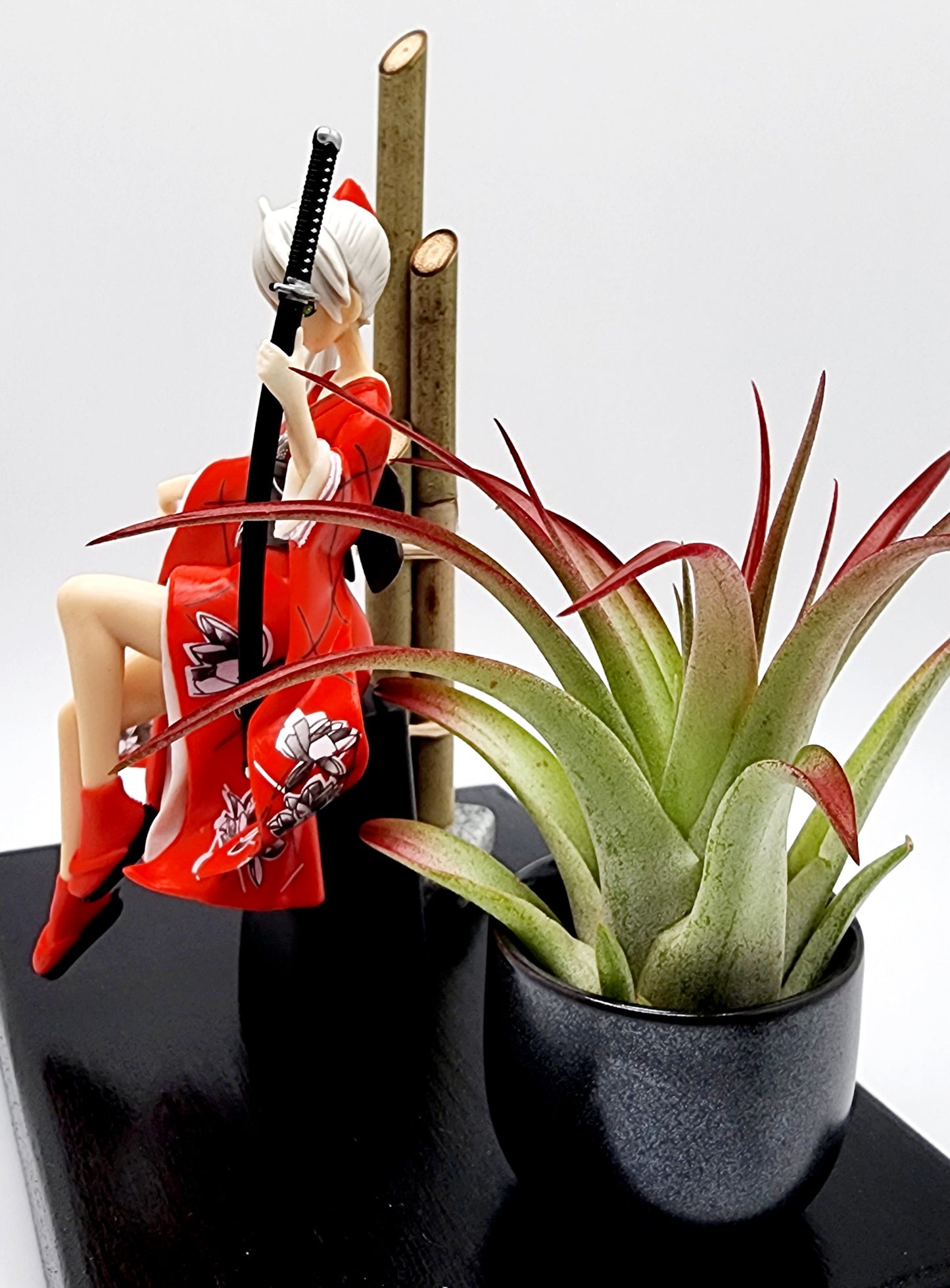 Geisha Ninja NIght Warrior