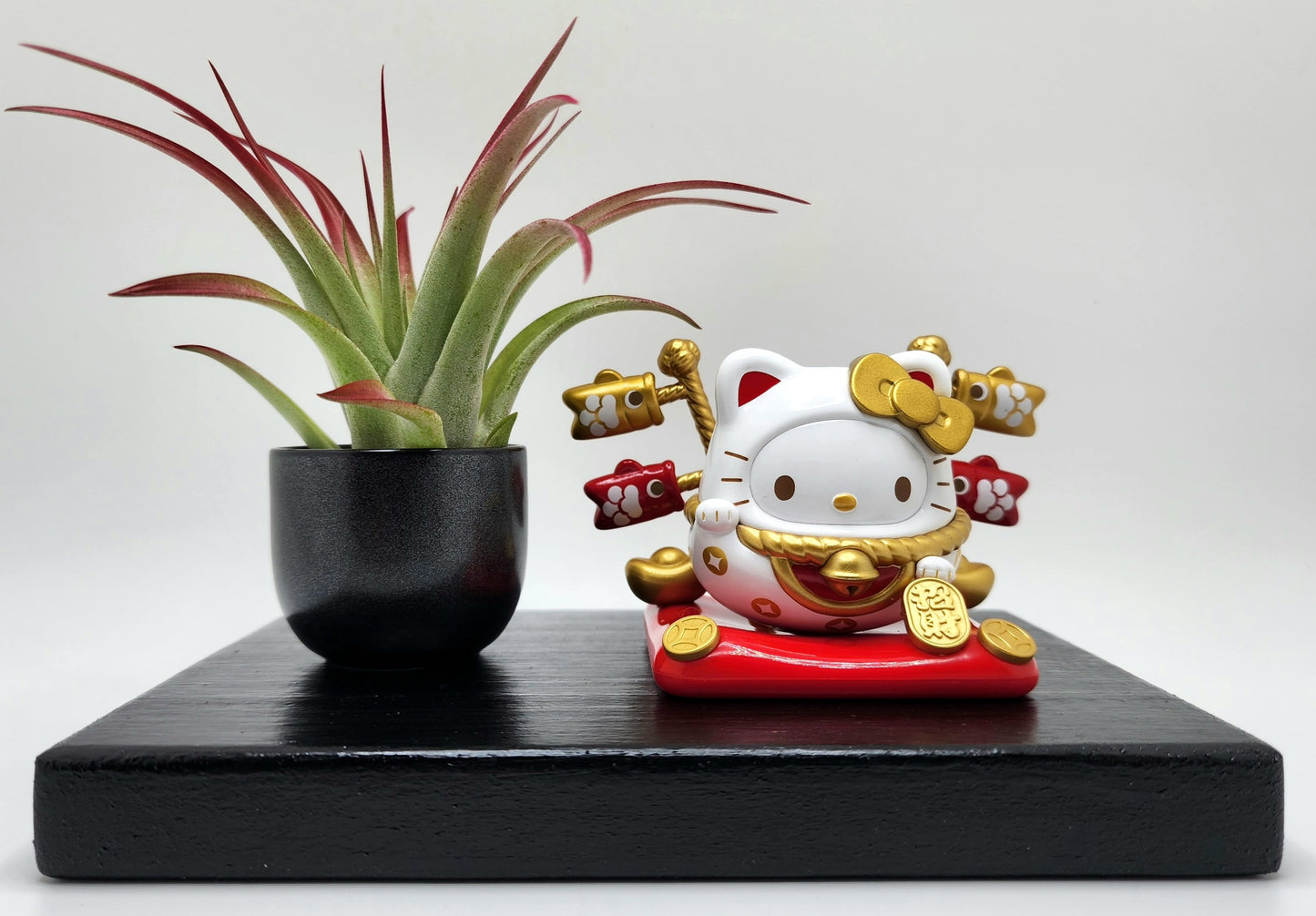 Sanrio HELLO KITTY Lucky Cat, Enhanced Brachycaulous Air Plant, and Display Base