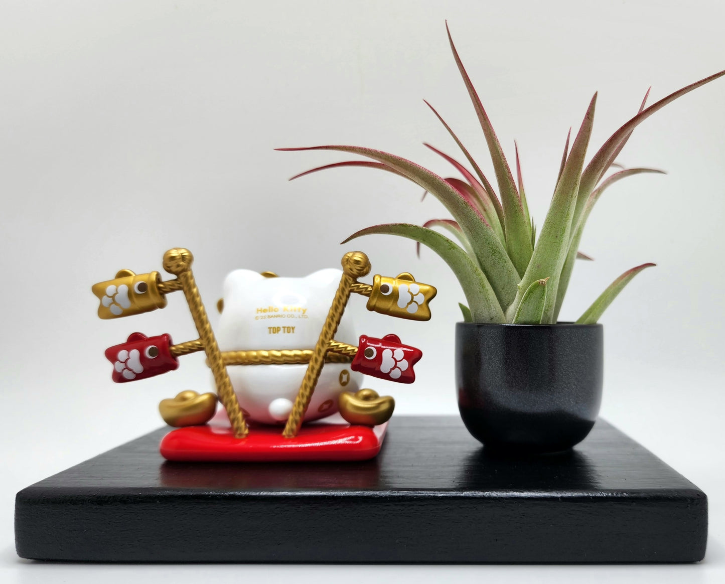 Sanrio HELLO KITTY Lucky Cat, Enhanced Brachycaulous Air Plant, and Display Base