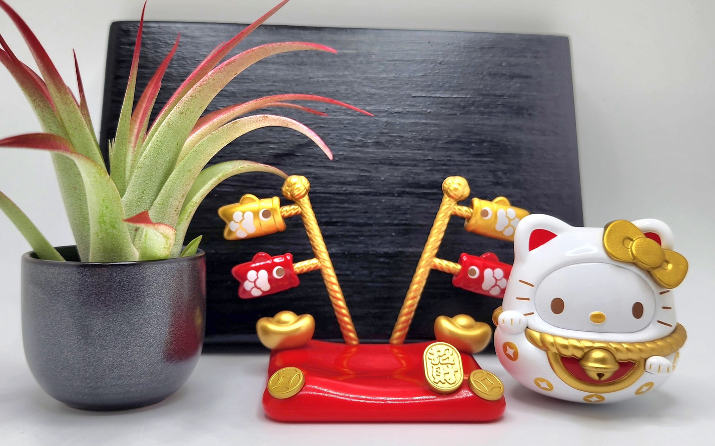 Sanrio HELLO KITTY Lucky Cat, Enhanced Brachycaulous Air Plant, and Display Base