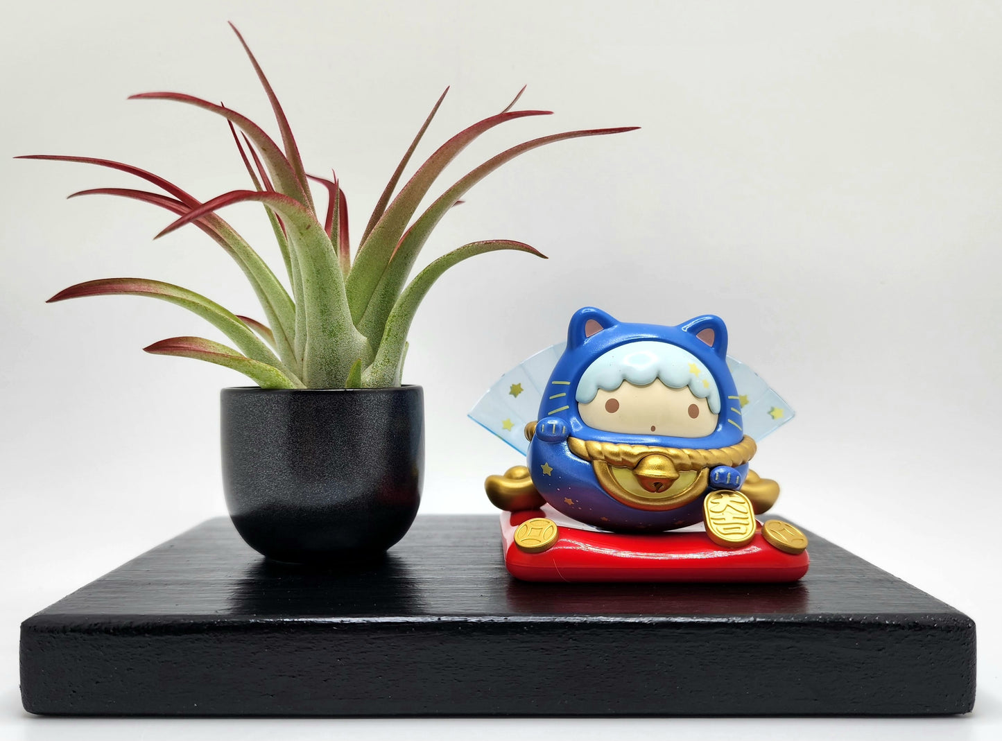 Sanrio LITTLE TWIN STARS KIKI Lucky Cat, Enhanced Brachycaulous Air Plant, and Display Base