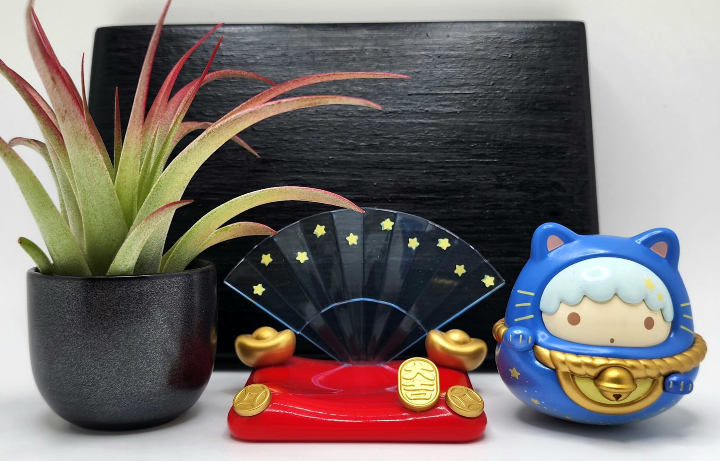 Sanrio LITTLE TWIN STARS KIKI Lucky Cat, Enhanced Brachycaulous Air Plant, and Display Base