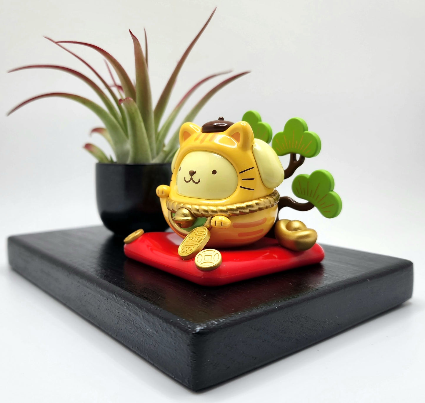 Sanrio POMPOMPURIN Lucky Cat, Enhanced Brachycaulous Air Plant, and Display Base