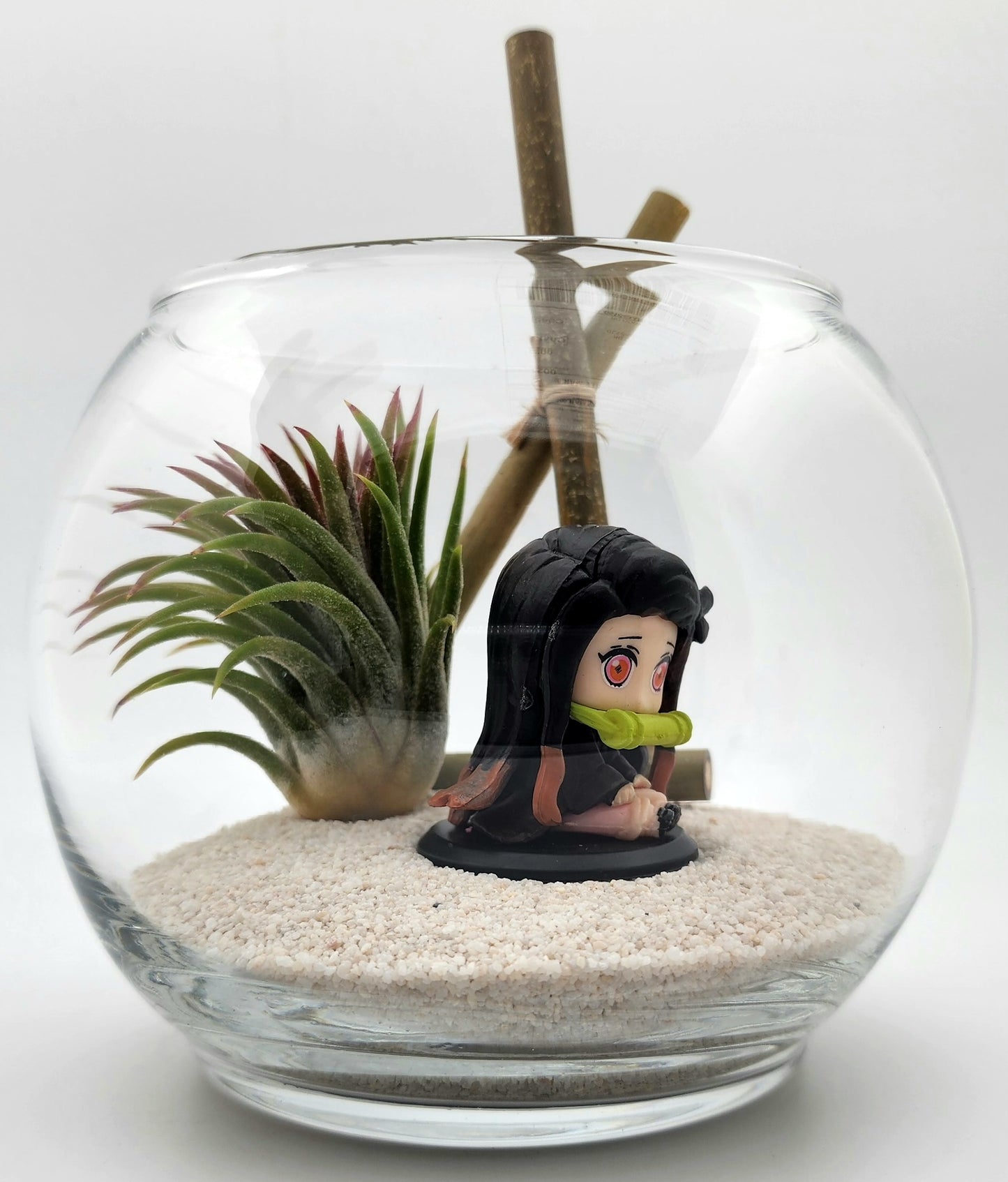 Demon Slayer Nezuko Kamado with Ionantha Air Plant in Vase