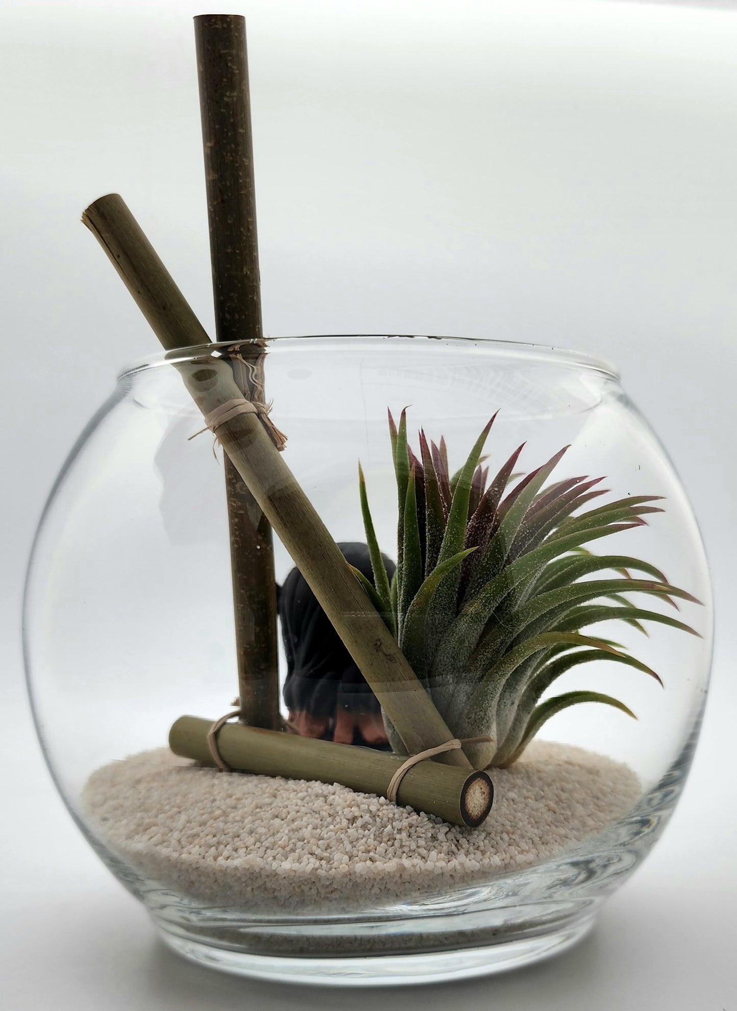Demon Slayer Nezuko Kamado with Ionantha Air Plant in Vase