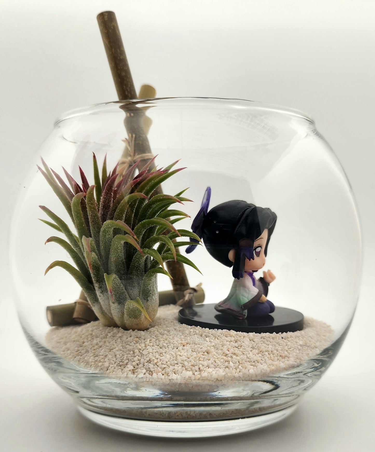 Demon Slayer Shinobu Kocho with Ionantha Air Plant in Vase