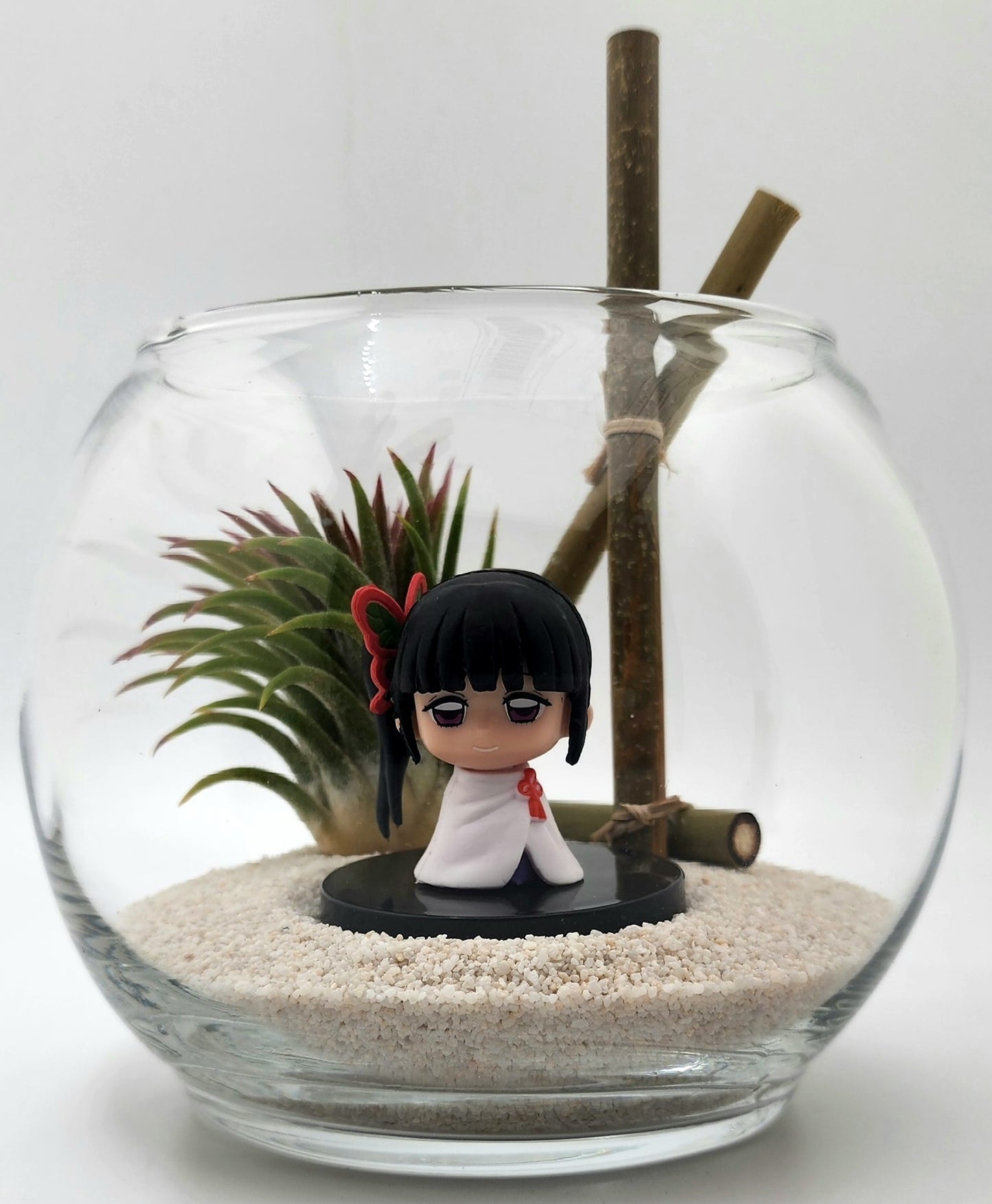 Demon Slayer Kanao Tsuyuri with Ionantha Air Plant in Vase