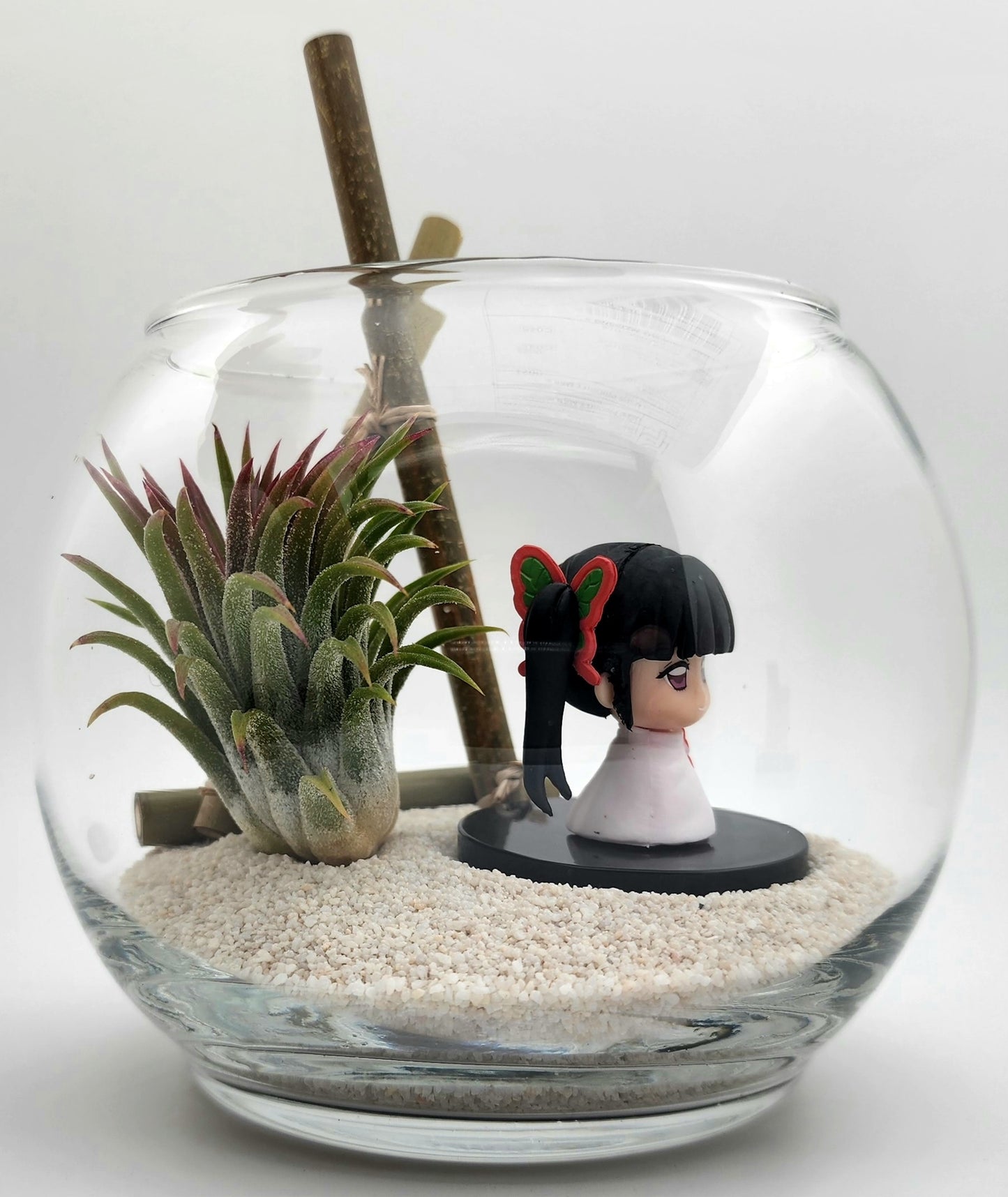 Demon Slayer Kanao Tsuyuri with Ionantha Air Plant in Vase