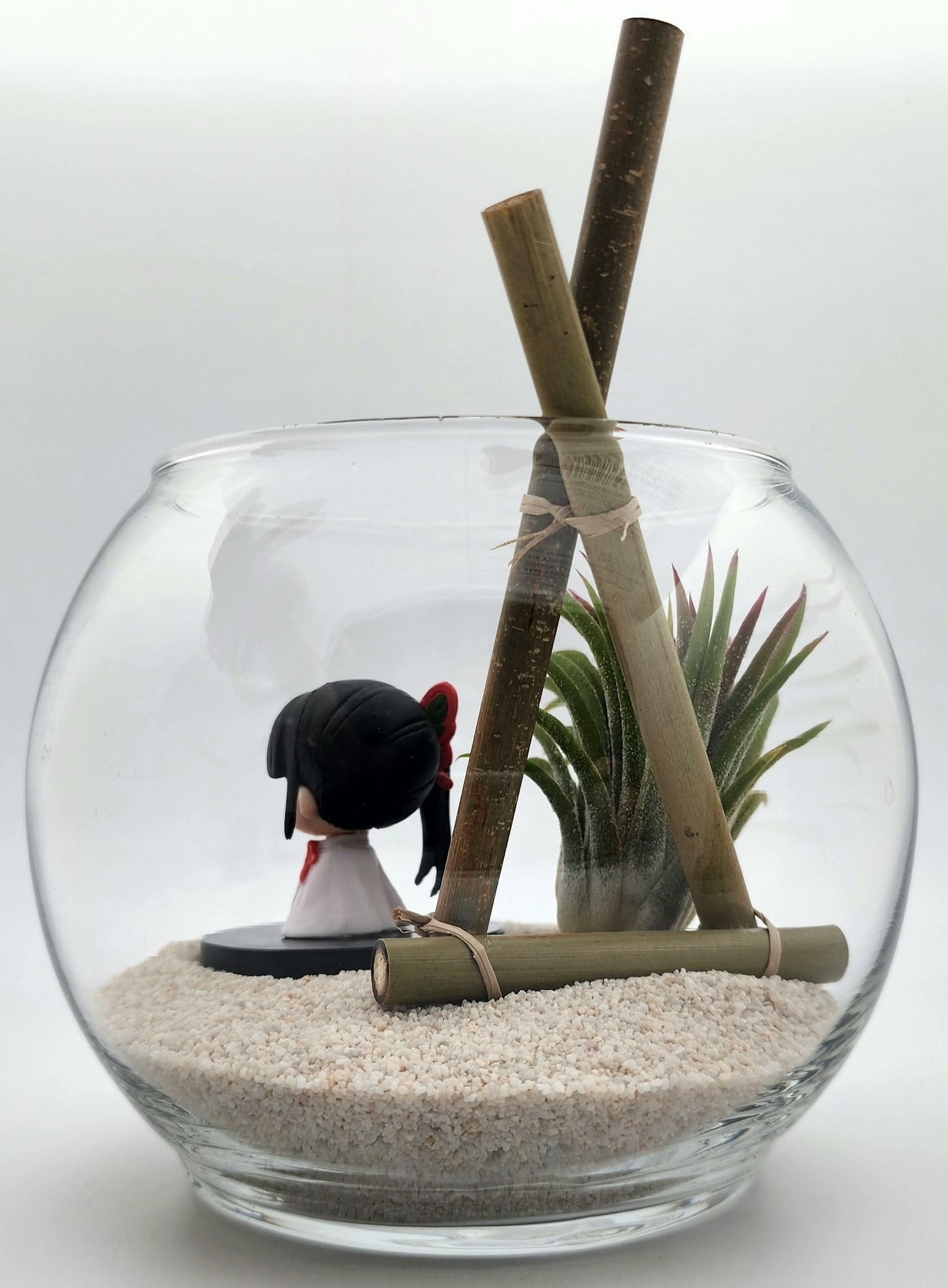 Demon Slayer Kanao Tsuyuri with Ionantha Air Plant in Vase
