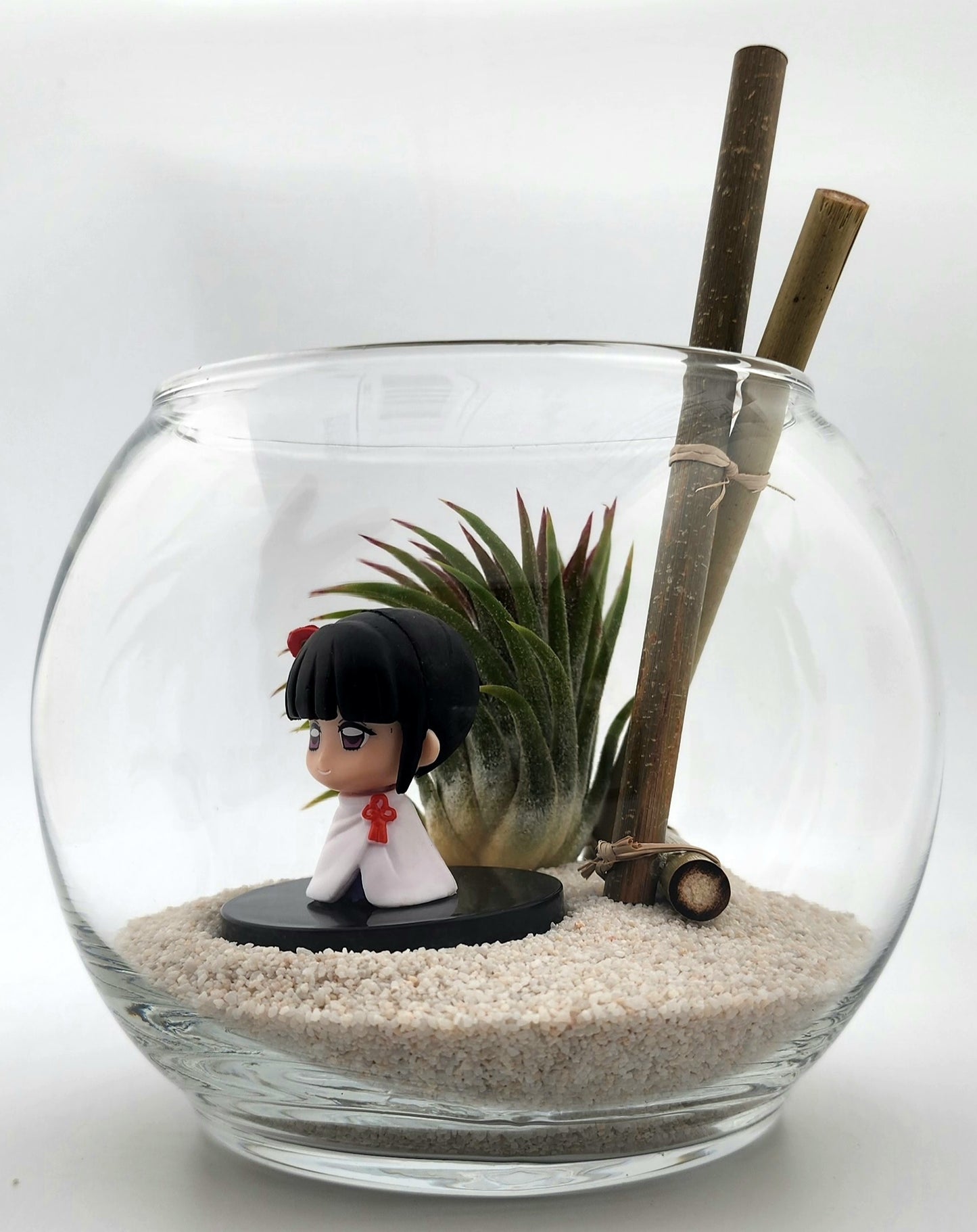 Demon Slayer Kanao Tsuyuri with Ionantha Air Plant in Vase