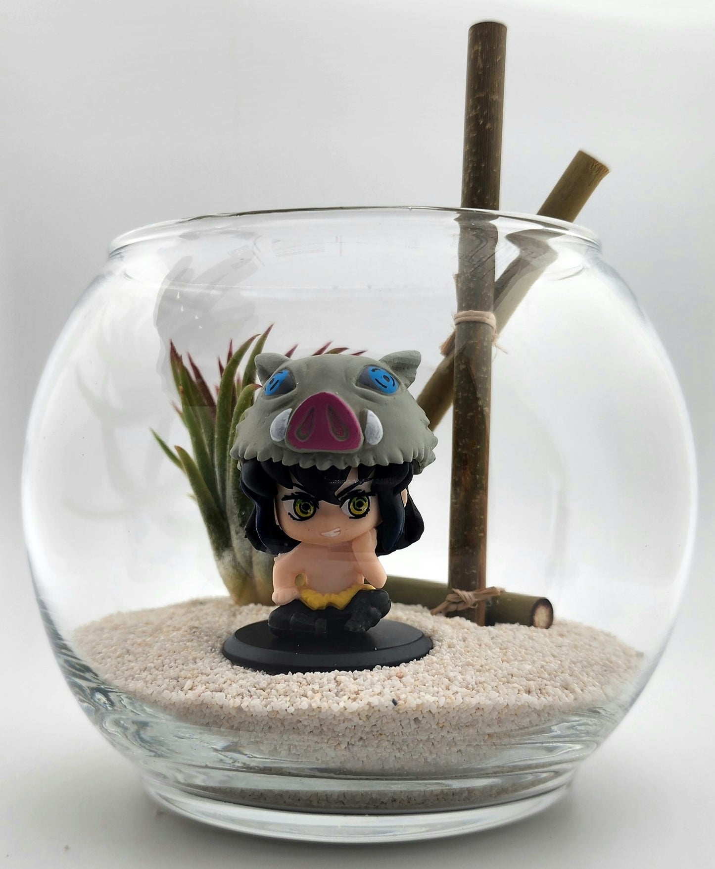 Demon Slayer Inosuke Hashibira with Ionantha Air Plant in Vase