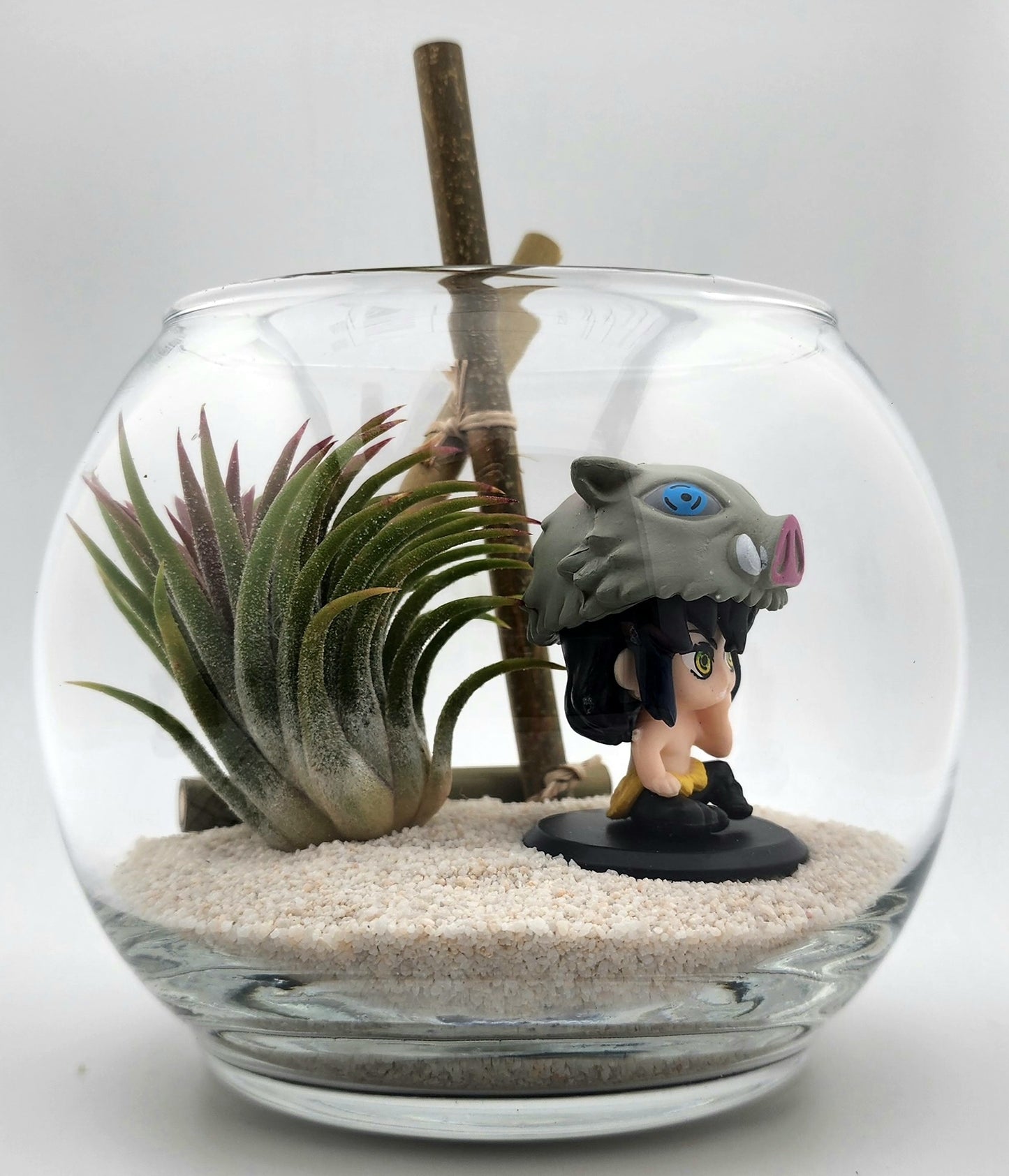 Demon Slayer Inosuke Hashibira with Ionantha Air Plant in Vase