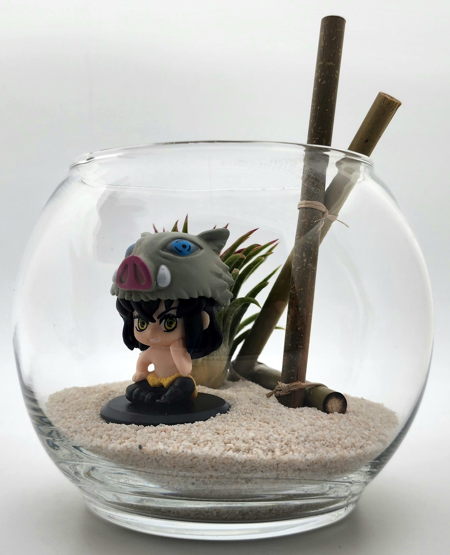 Demon Slayer Inosuke Hashibira with Ionantha Air Plant in Vase