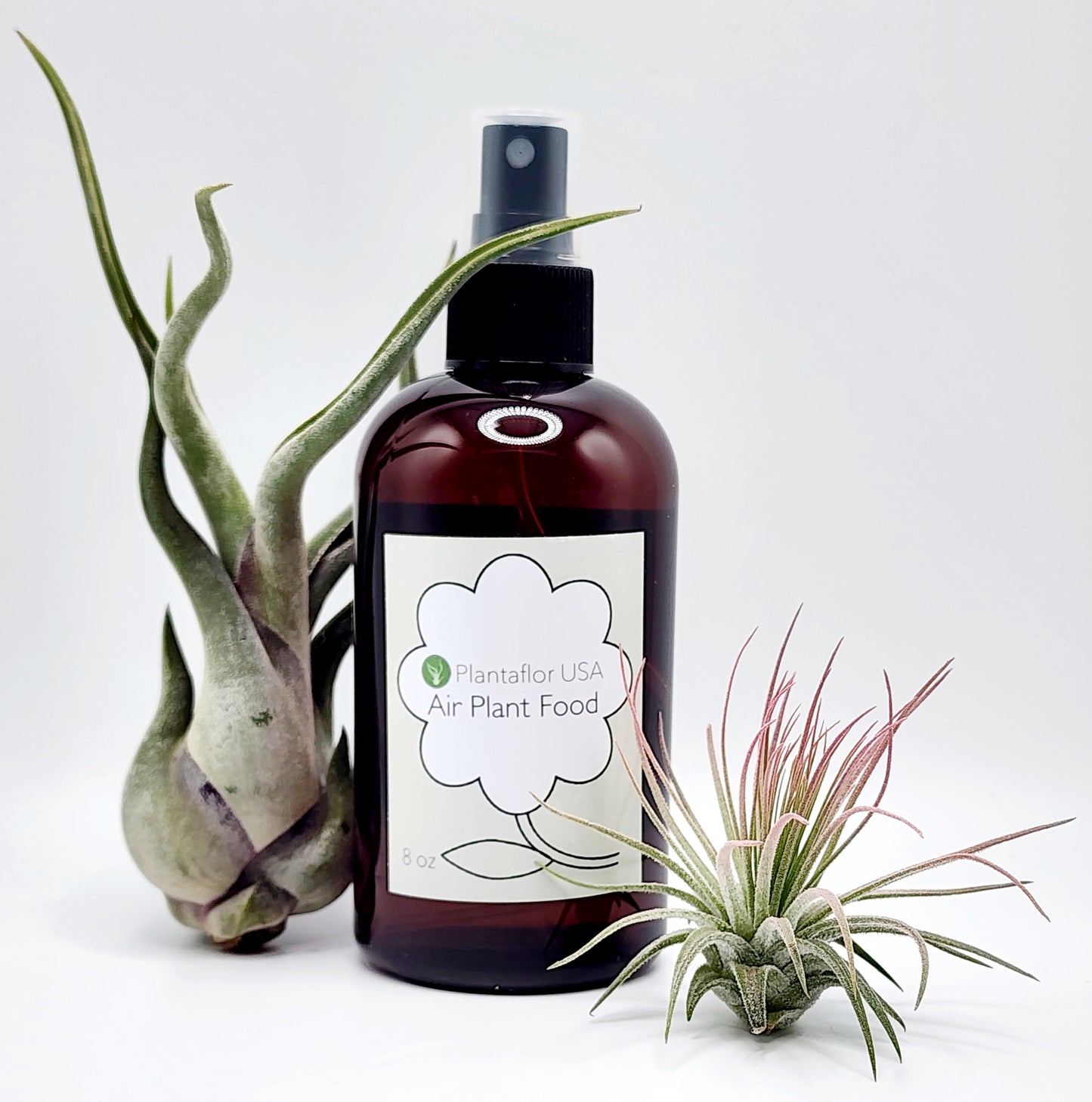 Plantaflor Air Plant Food 8 oz