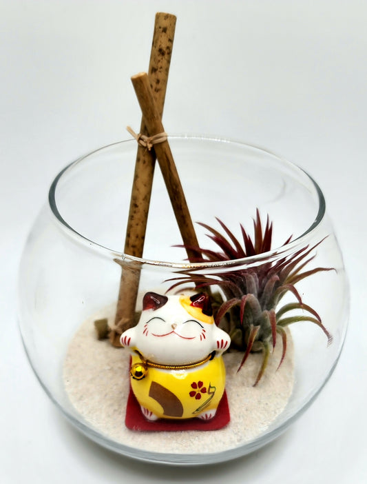 Lucky Cat (Yellow) with Ionantha Air Plant in Bubble Vase