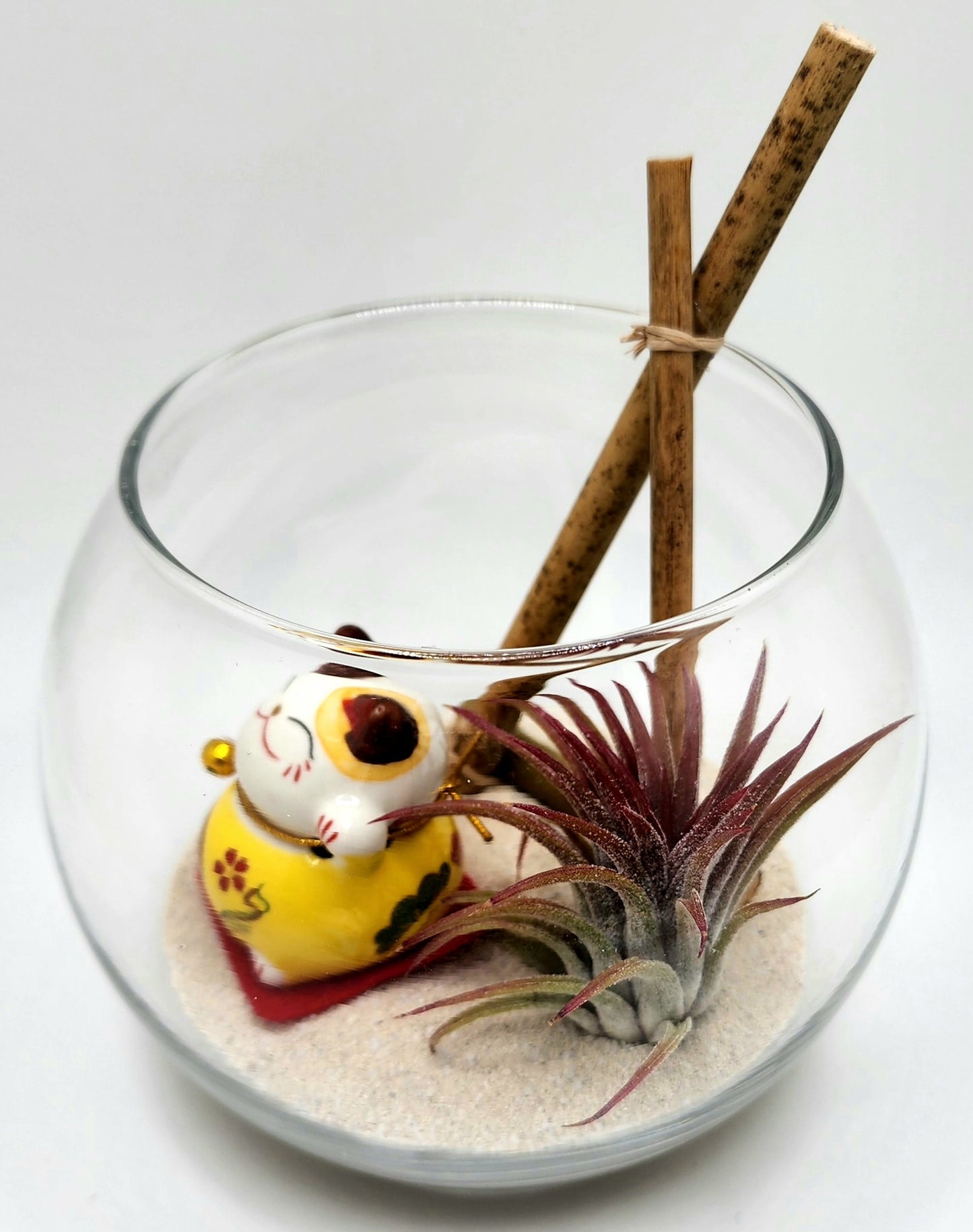 Lucky Cat (Yellow) with Ionantha Air Plant in Bubble Vase