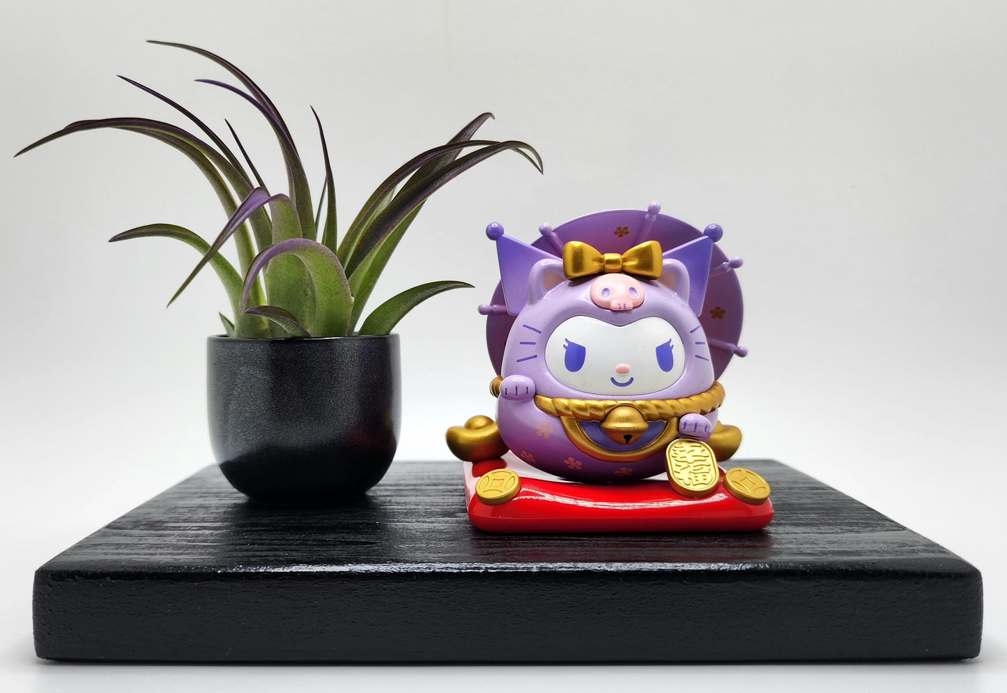 Sanrio KUROMI Lucky Cat, Brachycaulous Air Plant, and Display Base