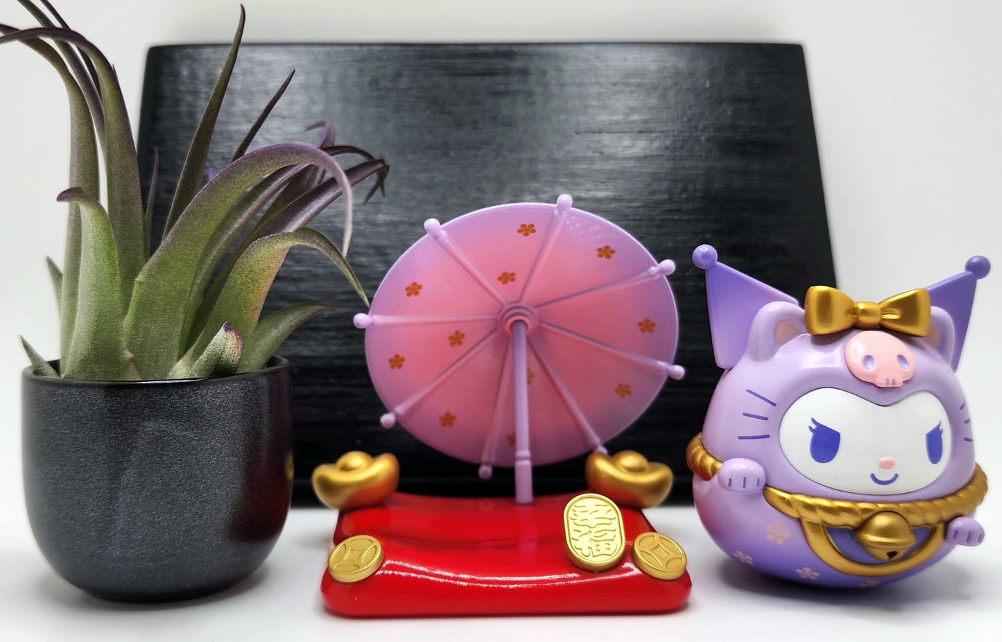 Sanrio KUROMI Lucky Cat, Brachycaulous Air Plant, and Display Base