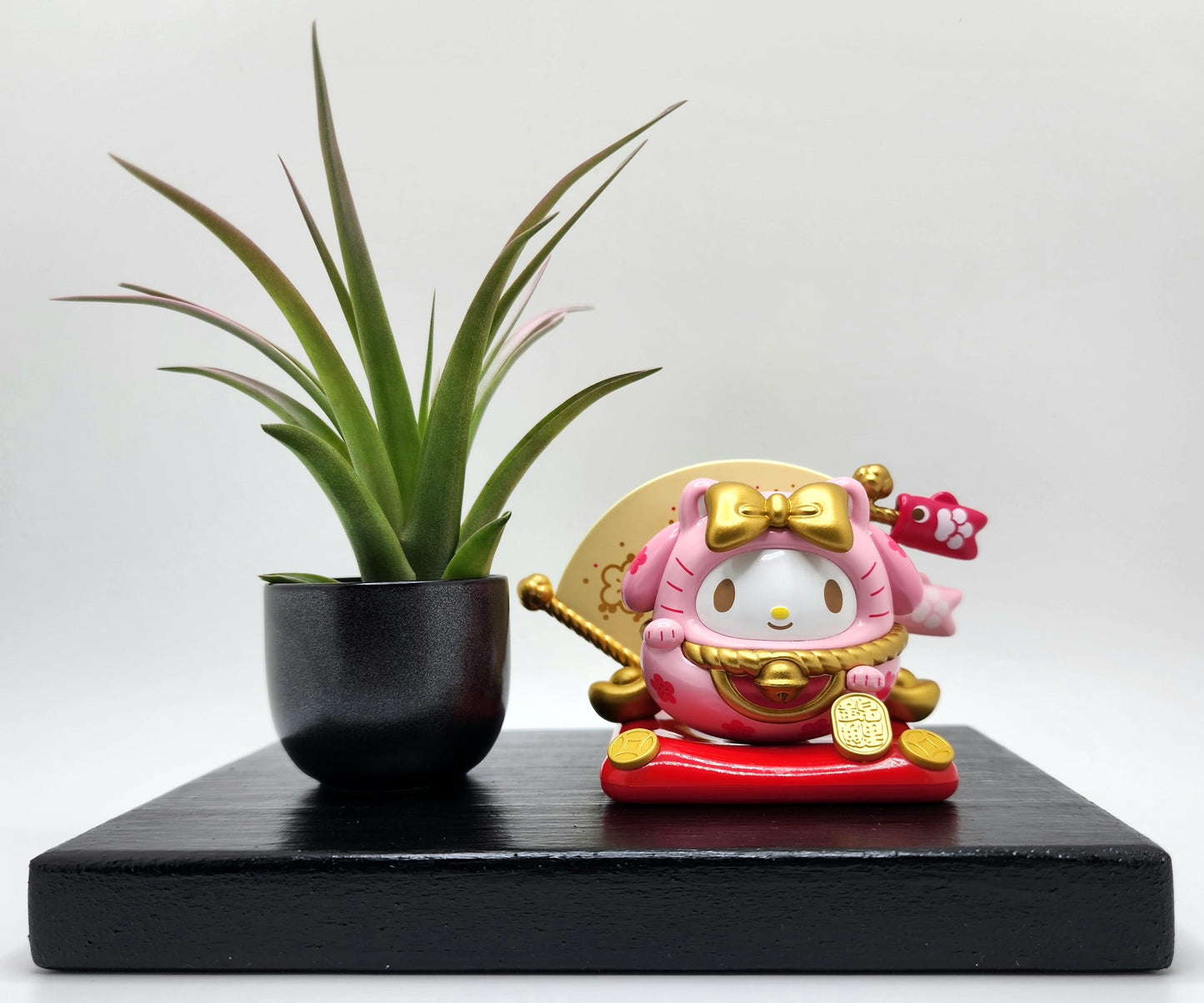 Sanrio MY MELODY Lucky Cat, Enhanced Brachycaulous Air Plant, and Display Base