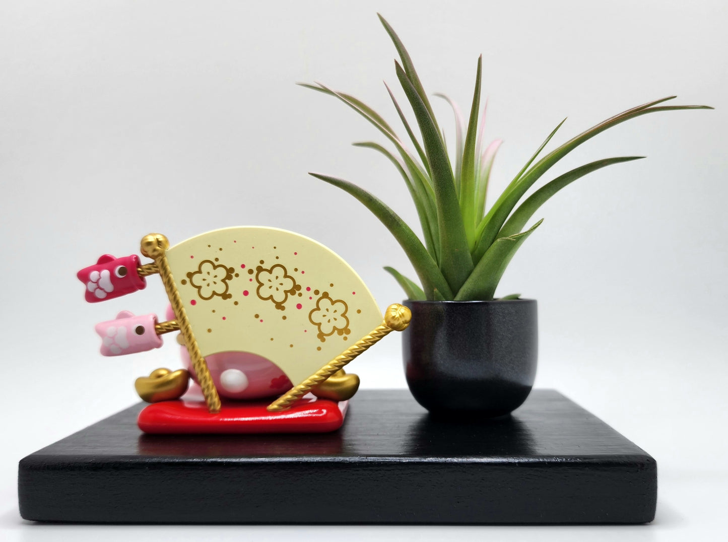 Sanrio MY MELODY Lucky Cat, Enhanced Brachycaulous Air Plant, and Display Base