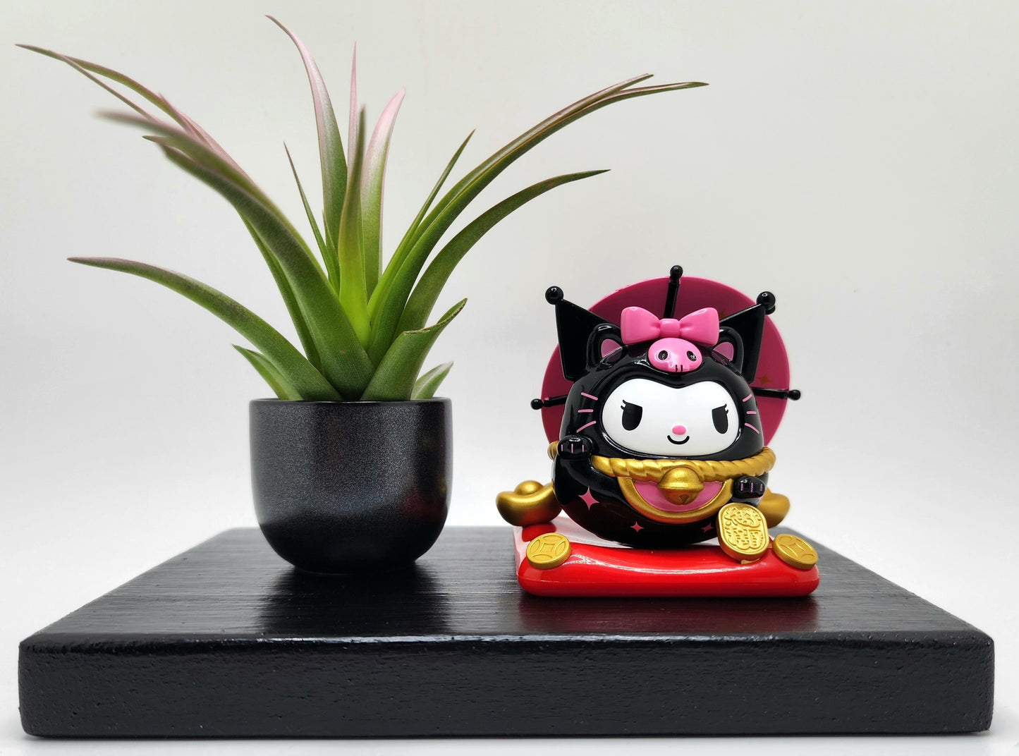 Sanrio KUROMI Lucky Cat, Enhanced Brachycaulous Air Plant, and Display Base