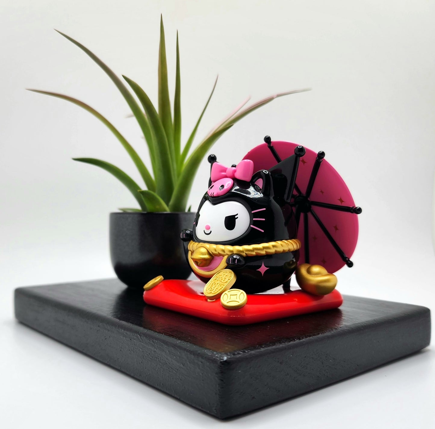 Sanrio KUROMI Lucky Cat, Enhanced Brachycaulous Air Plant, and Display Base