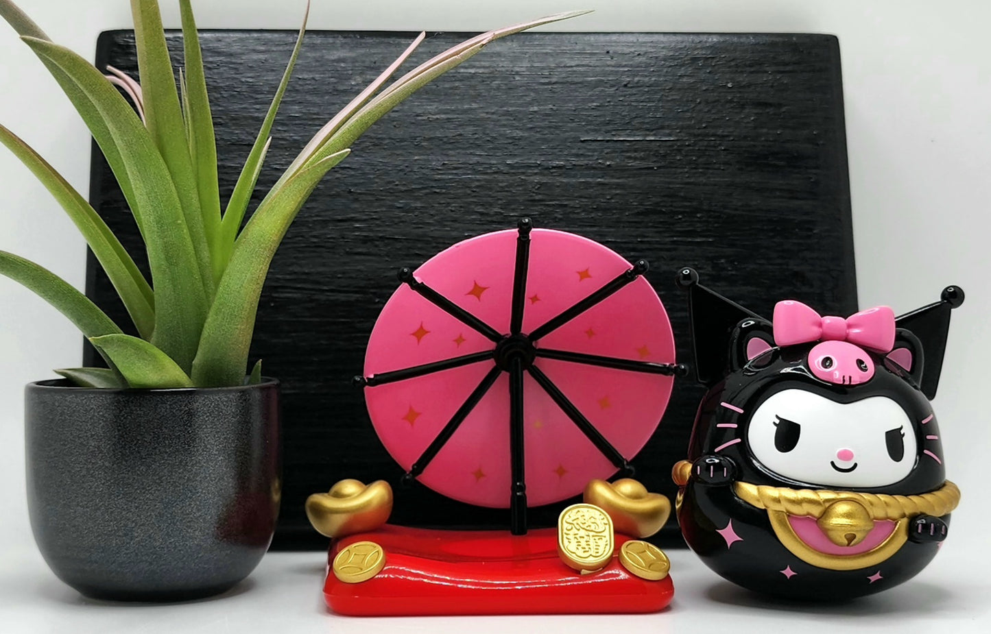 Sanrio KUROMI Lucky Cat, Enhanced Brachycaulous Air Plant, and Display Base