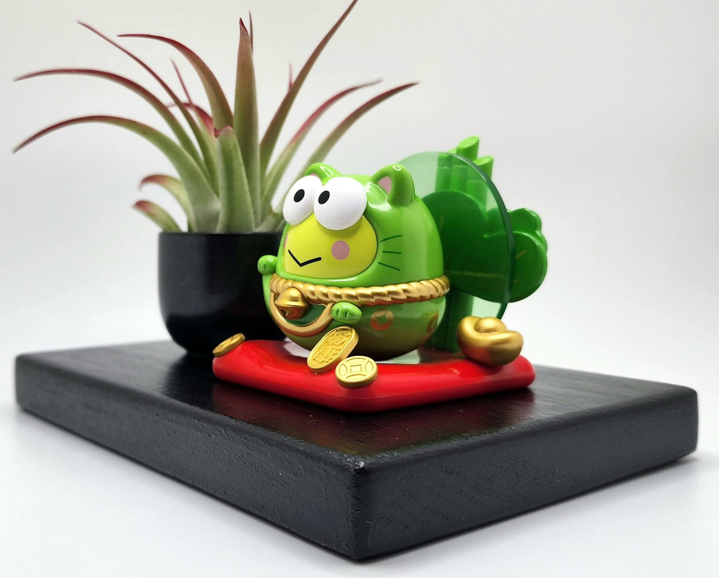 Sanrio KEROPPI Lucky Cat, Enhanced Brachycaulous Air Plant, and Display Base