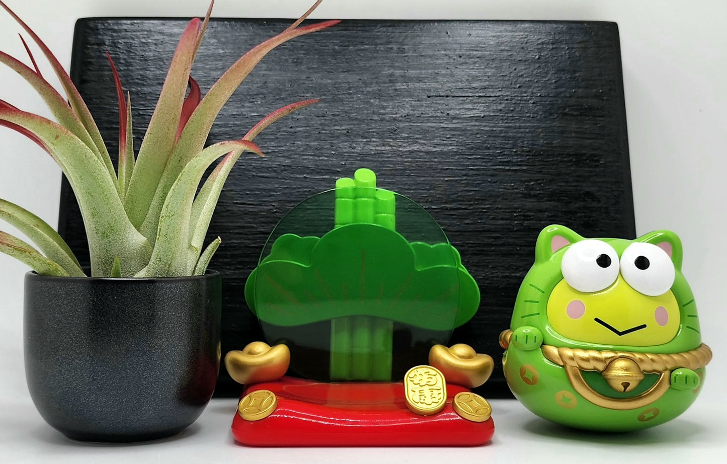 Sanrio KEROPPI Lucky Cat, Enhanced Brachycaulous Air Plant, and Display Base