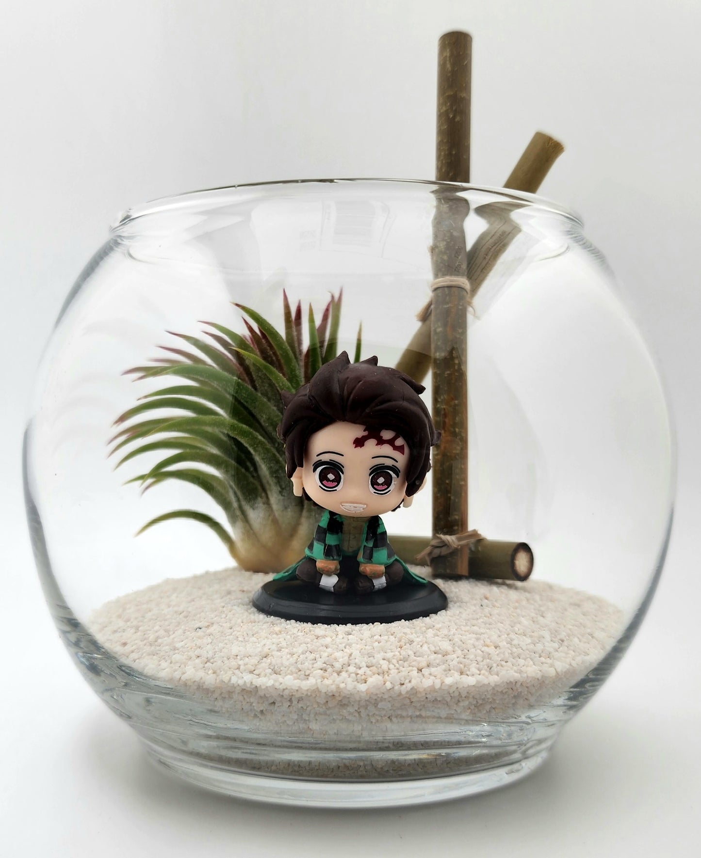 Demon Slayer Tanjiro Kamado with Ionantha Air Plant in Vase