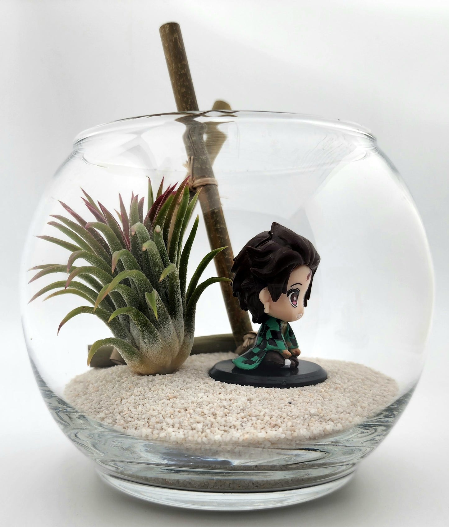 Demon Slayer Tanjiro Kamado with Ionantha Air Plant in Vase