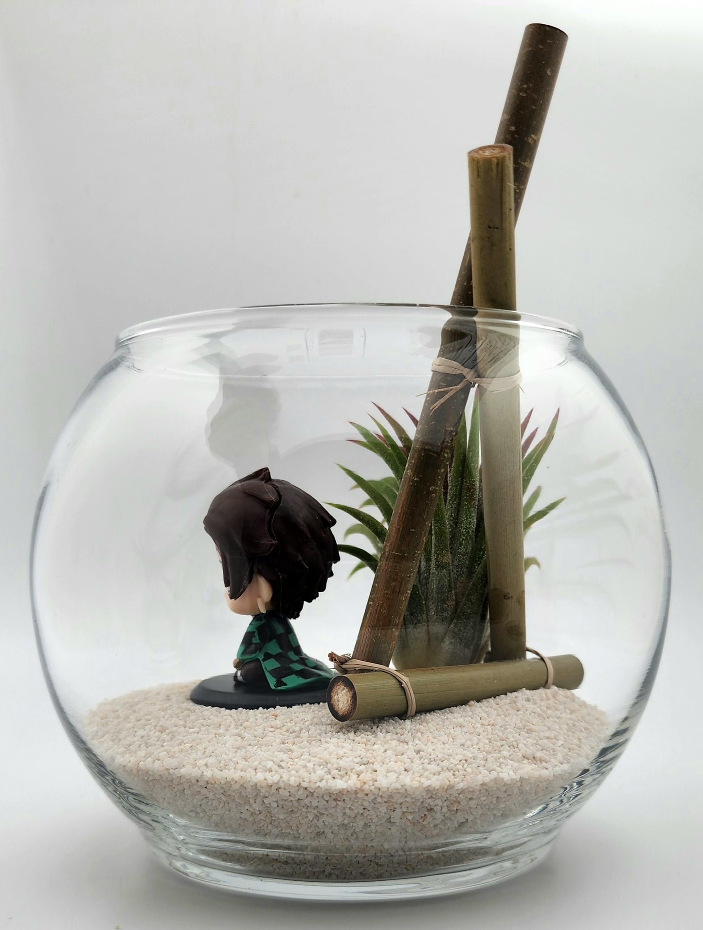 Demon Slayer Tanjiro Kamado with Ionantha Air Plant in Vase