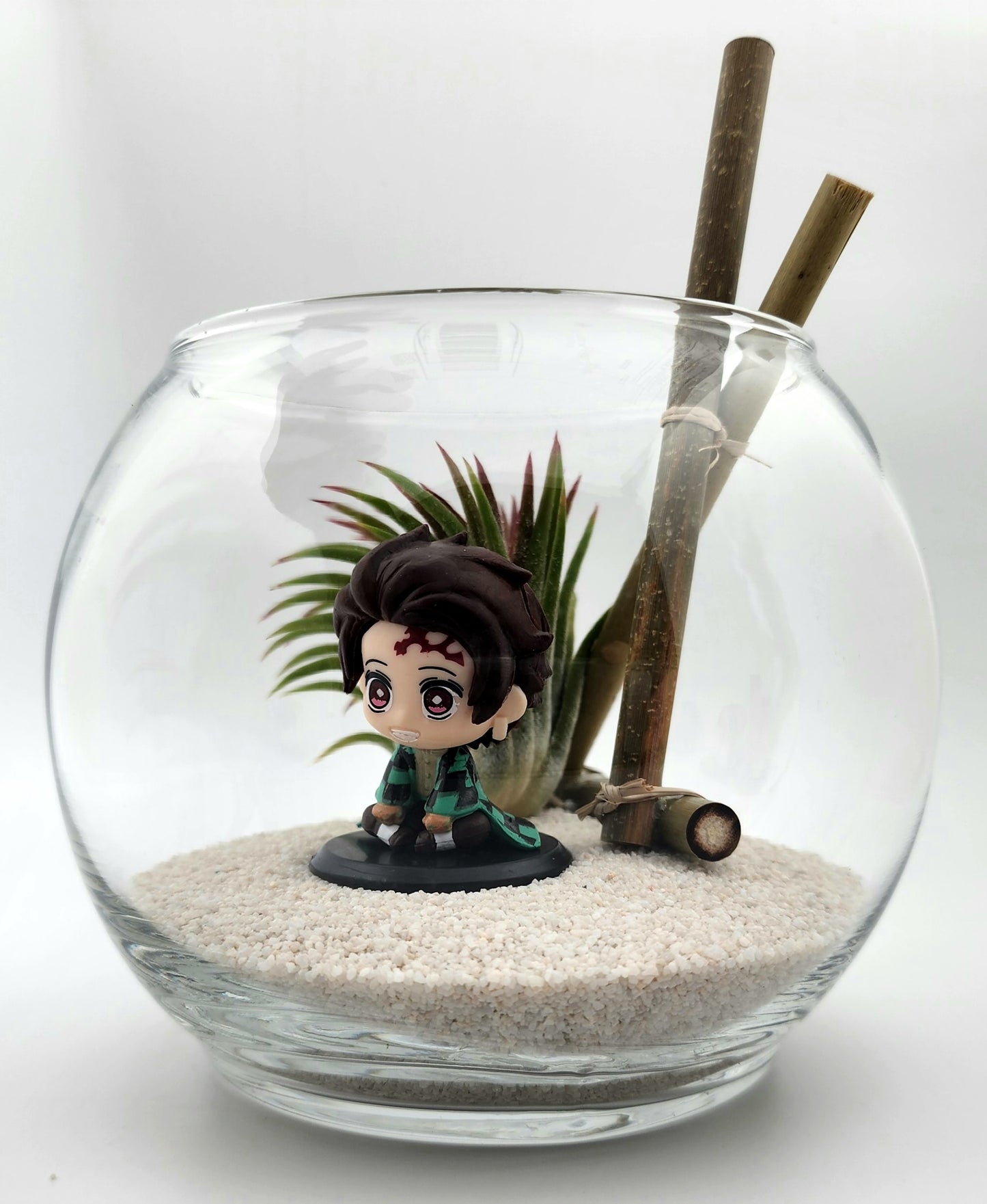 Demon Slayer Tanjiro Kamado with Ionantha Air Plant in Vase